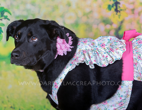 7C8B8841 O