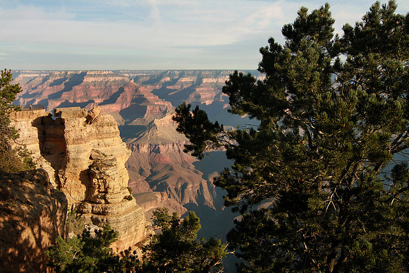 IMG_5993 O