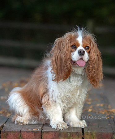 7C8B5704 O