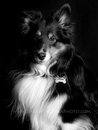7C8B1228 O BW