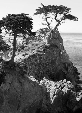 IMG_5637 B&W O