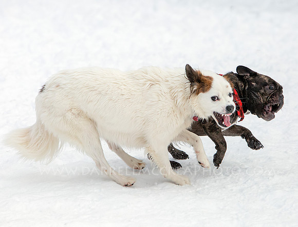 7C8B6192 O